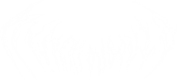 MYSTERIOUS SOULS